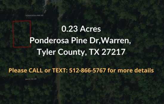 For Sale – 0.23 acres in Tyler County, TX
