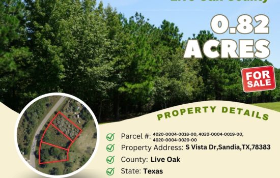Contract for Sale – 0.82 acres in Live Oak County, Texas – $24,900