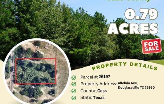 Contract for Sale – 0.79 acres in Cass County, Texas – $10,900