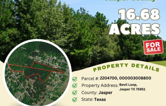 Contract for Sale – 16.68 acres in Jasper County, Texas – $79,900