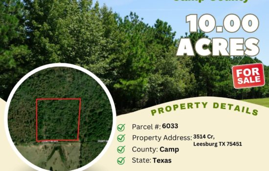 Contract for Sale – 10 acres in Camp County, Texas – $69,500