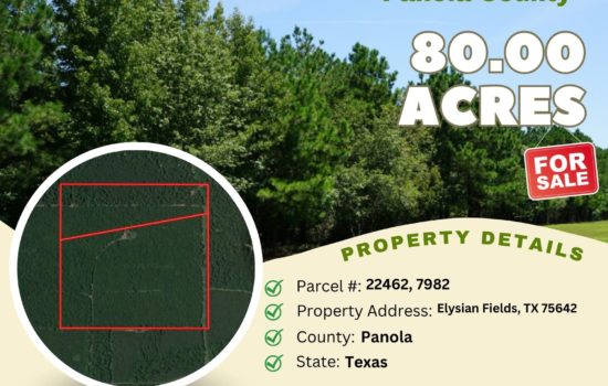Contract for Sale – 80 acres in Panola County, Texas – $298,500